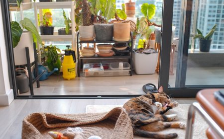 Bye Mager! 5 Trik Jitu Memulai Gaya Hidup Aktif 2025 yang Ternyata Gampang Banget