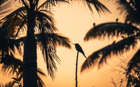 Bukan Lagi Fiksi Ilmiah: Cara VR & AR Mengubah Total Rencana Liburan Anda di 2025