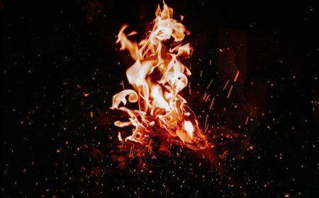 War 2 Tembus 100 Crore: Pesta Box Office yang Diobrak-abrik Mimpi Buruk Pembajakan Digital