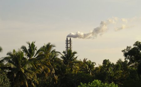 Target B50 Dikejar, Indonesia Butuh Tambahan 4 Juta Kiloliter Biodiesel Lagi!