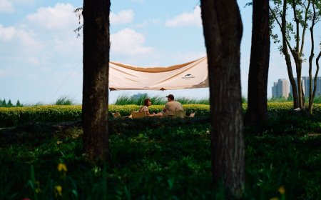 Lelah Scrolling? 5 Surga Tersembunyi untuk Wisata Digital Detox Terbaik di Indonesia