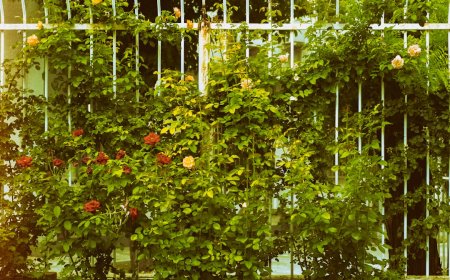 Ubah Balkon Jadi Kebun Sayur Pribadi: Panduan Lengkap Urban Gardening untuk Pemula