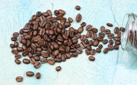 Bukan Sekadar Tren: 7 Alasan Ilmiah Mengapa Kopi Organik Lebih Baik untuk Kamu dan Bumi