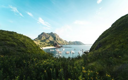 Keunikan Geologis dan Biologis Pulau Padar yang Jarang Diketahui!
