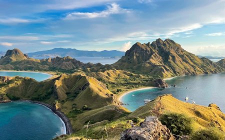 Rahasia Pulau Padar: Menyelami Pesona Eksotis & Tips Mendaki Bukit Ikonik di Komodo