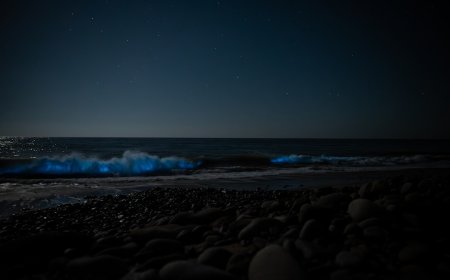 Gelap Bukan Lagi Akhir: Mengapa Noctourism Jadi Tren Travel Terbesar 2025