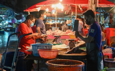 Bukan Cuma Begadang: Mengungkap Tren Noctourism, Alasan Gen Z dan Milenial Jelajahi Dunia Saat Gelap