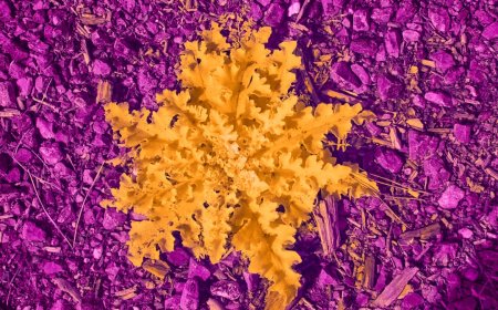 Bukan Lagi Musuh Penderita Alergi, Serbuk Sari Kini Diubah Jadi Kertas dan Spons Ramah Lingkungan