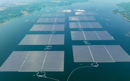 PLTS Cirata Simbol Pencapaian Bersejarah di Era Jokowi untuk Energi Masa Depan