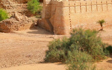 Ini Cara Firaun Mengelola Kekayaan dan Kekuasaannya Melampaui Zaman