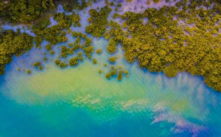 Pantai Tersembunyi Selatan Jawa untuk Petualangan Selancar Paling Liar
