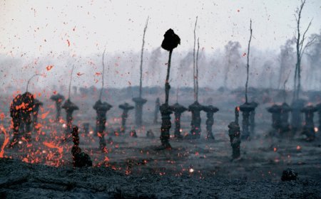 Apa Saja Inovasi Teknologi yang Dilahirkan dari Kedua Perang Dunia?