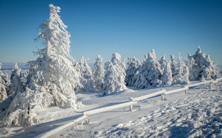 Menyelami Pesona Salju Pertama di Skotlandia dan Jepang