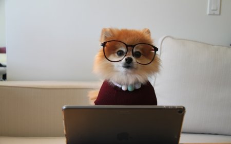 Bongkar Perbedaan Hyperfixation dan Hiperfokus yang Sering Disalahpahami