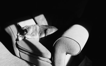 5 Cara Cerdas Membungkam Productivity Guilt Akhirnya Bisa Santai Tanpa Merasa Dosa