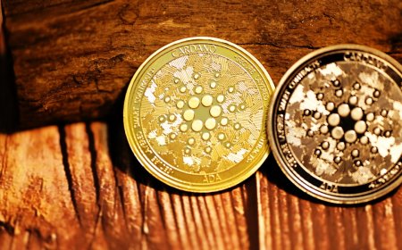 Dollar Cost Averaging Strategi Investasi Paling Ramah untuk Pemula