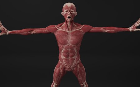 Rasakan Sensasi Unik Bekerja di Body Farm!