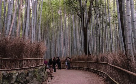 Misteri Gelap Hutan Aokigahara yang Selalu Membuat Penasaran