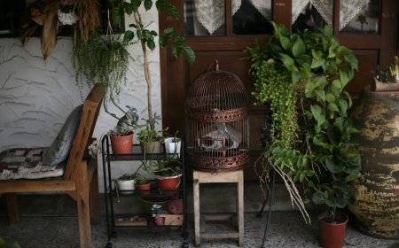 Menyelami Misteri Ritual dan Tradisi Angker Kota Oaxaca Meksiko