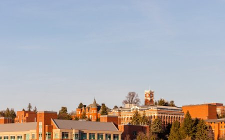 Pendidikan Tinggi di Amerika, Investasi Masa Depan atau Beban Biaya?