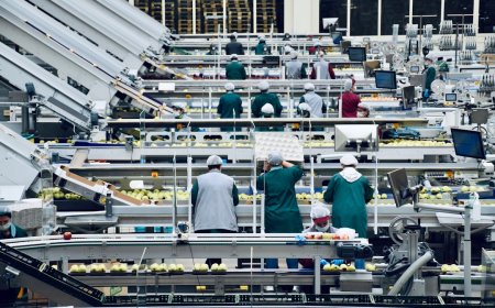 Ancaman Otomasi! Apakah Robot akan mengancam Pekerjaan para Buruh?