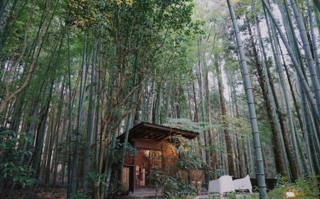 Kenali Kriteria Akomodasi Ramah Lingkungan Sebelum Booking Liburan