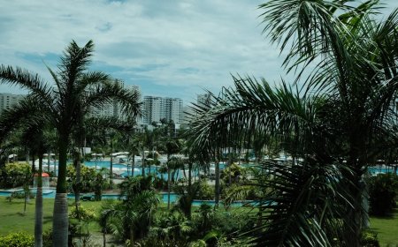 Liburan Anda Benar-Benar 'Hijau'? Bongkar Perbedaan Ekowisata, Wisata Alam, dan Jebakan Greenwashing