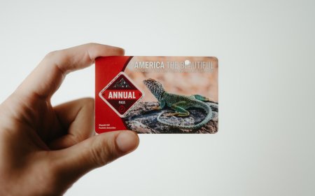 Modus Penipuan Kartu Transportasi Turis yang Sering Menjerat Wisatawan