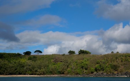 Kisah Kelam Pala Tragedi Genosida Banda oleh Ambisi VOC