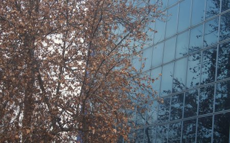 Apple Lawan Aturan Baru Inggris, Klaim Buruk Bagi Pengguna dan Developer