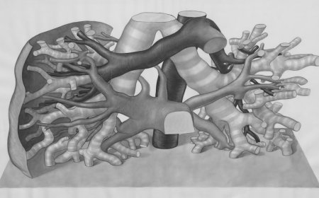 Mengenal Dislokasi Bahu Cedera Serius yang Mengintai Penggiat Olahraga Keras
