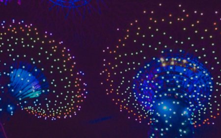 Panduan Wajib Coinfest Asia 2025 Biar Kamu Nggak Cuma FOMO