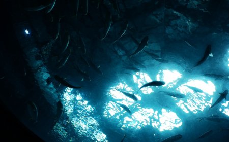 Atlantis Bukan Sekadar Mitos Ternyata Punya Teknologi Super Canggih