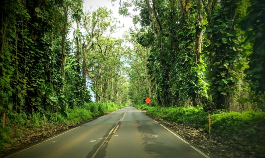 7 Rahasia Road Trip Pulau Jawa: Menyelami Pesona Alam Tersembunyi yang Memukau