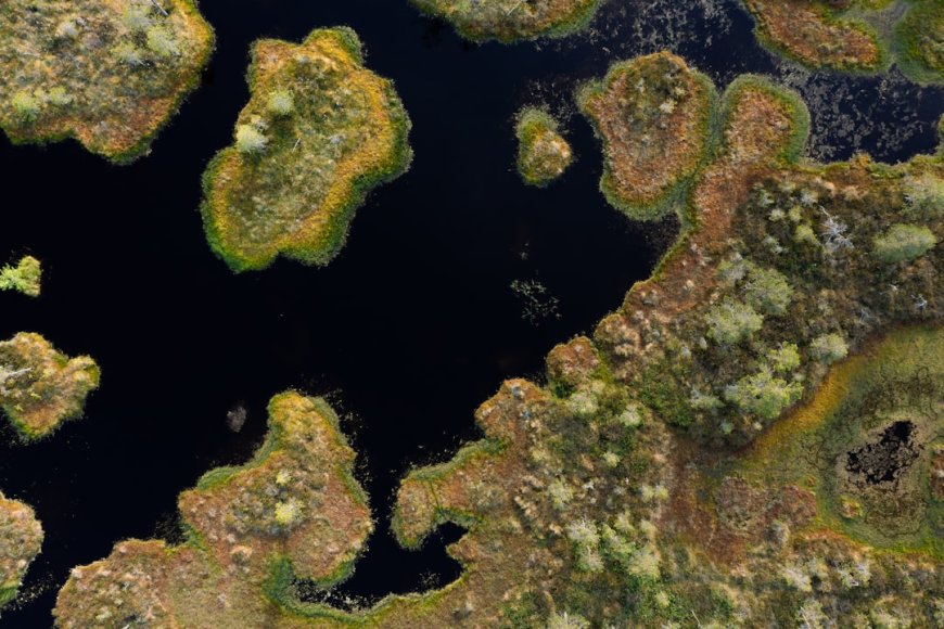 Simbol dan Makna Budaya Pulau Padar yang Membentuk Identitas Lokal!
