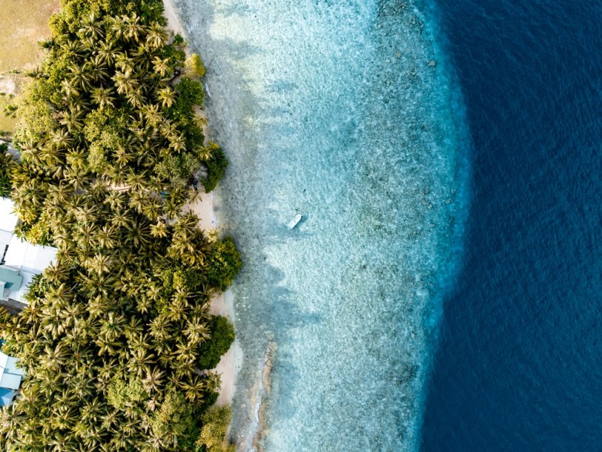 7 Strategi Cerdas Menaklukkan Trek Pulau Padar: Panduan Otentik dari Pengalaman Nyata