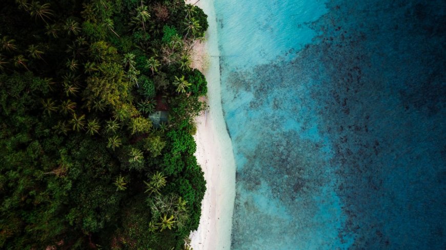 Menyelami Rahasia Liar Pulau Padar: Flora Unik & Fauna Eksotis yang Wajib Anda Temukan