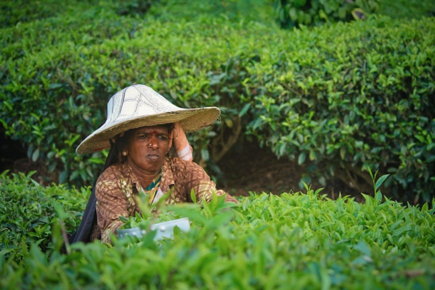 Pertumbuhan Ekonomi Indonesia Q2 2026 Melonjak, Ini Rahasianya!