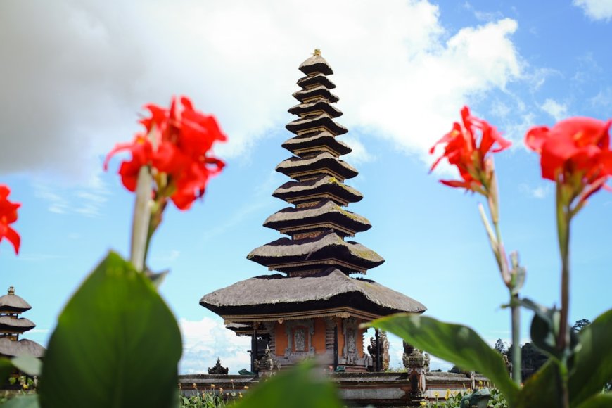 Mengungkap Potensi Dermaga Benoa: Bali Siap Jadi Bali Cruise Hub Terkemuka Asia