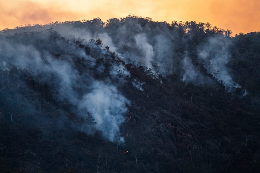 Eropa Terbakar: Gelombang Panas dan Kebakaran Hutan Pecahkan Rekor, Apa Dampaknya ke Kita?