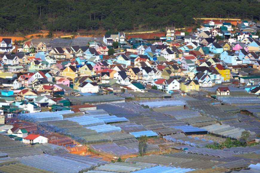 Gempa Terkini 14 Agustus 2025: Dampak Besar, Ini Analisis dan Saran Mitigasi BMKG