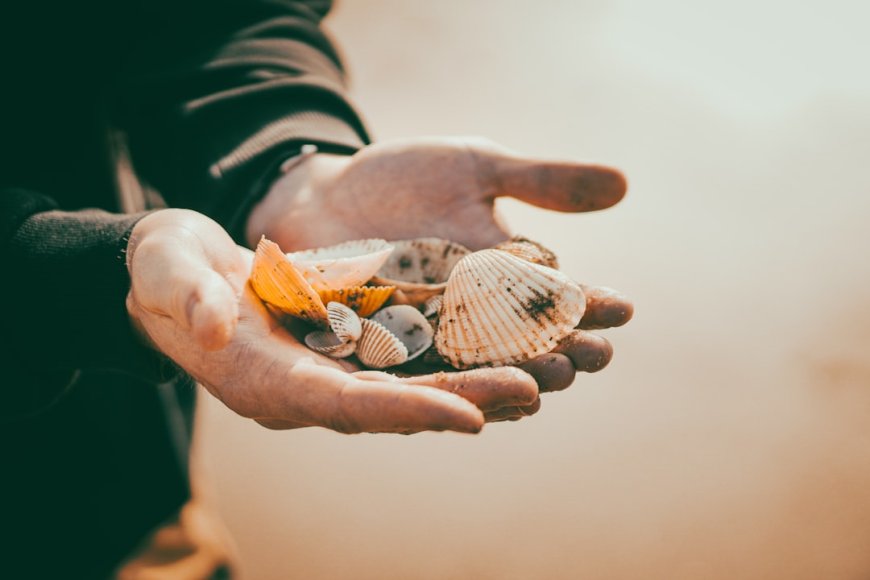 Ilustrasi visual yang membangkitkan semangat untuk menumbuhkan pola pikir keuangan yang berorientasi pada masa depan. Foto oleh Josiah Nicklas via Unsplash.