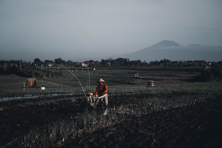Bromo Tak Cuma Sunrise: Panduan Anti-Mainstream Menemukan Jiwa Suku Tengger