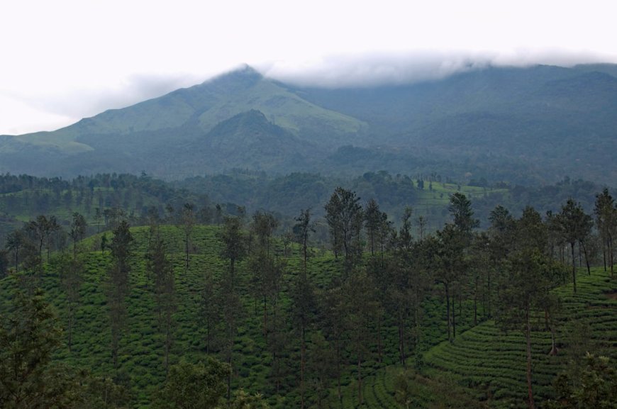 Lembang Bukan Cuma Farmhouse: Panduan Anti-Mainstream Menemukan Spot Rahasia & Kuliner Lokal Otentik