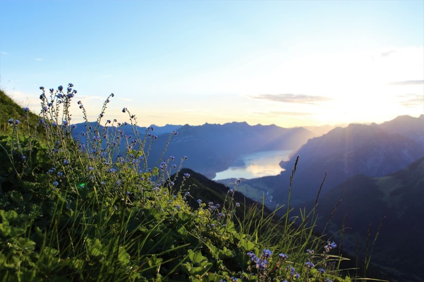 Bukan Sekadar Trekking: Panduan Menaklukkan Jalur Inca ke Machu Picchu Seperti Penduduk Lokal