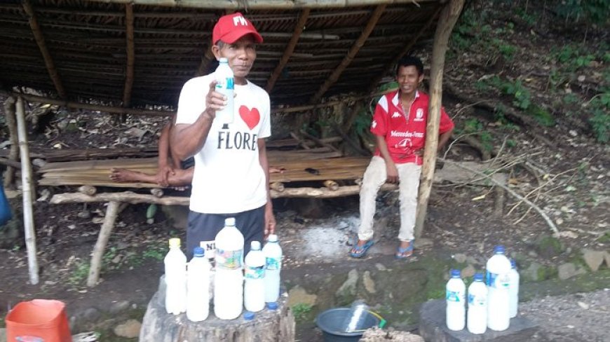Stop Minum Shake Berat! Ini Alasan Clear Whey Protein Jadi Andalan Baru untuk Hidrasi & Recovery