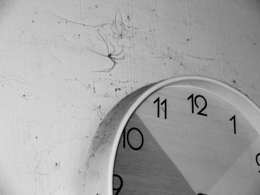 Intermittent Fasting 2025: 5 Mitos yang Terbantahkan Riset Harvard & Ahli Gizi Internasional