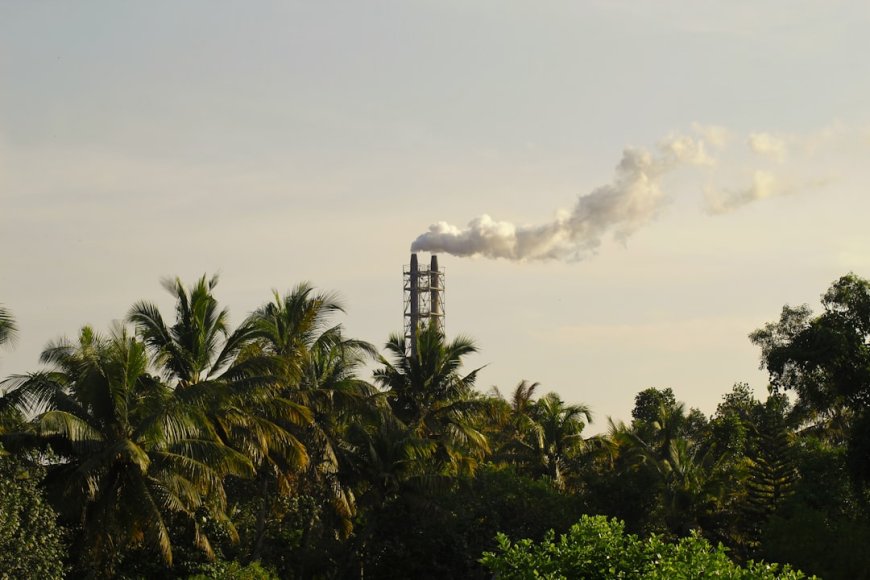Target B50 Dikejar, Indonesia Butuh Tambahan 4 Juta Kiloliter Biodiesel Lagi!