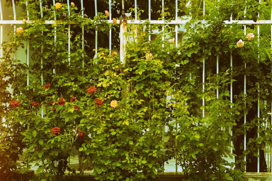 Ubah Balkon Jadi Kebun Sayur Pribadi: Panduan Lengkap Urban Gardening untuk Pemula
