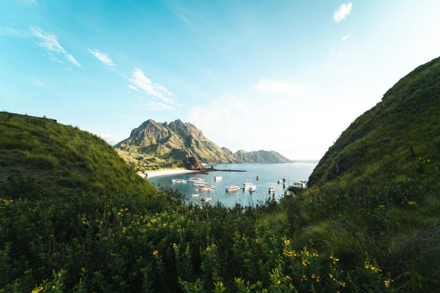 Keunikan Geologis dan Biologis Pulau Padar yang Jarang Diketahui!